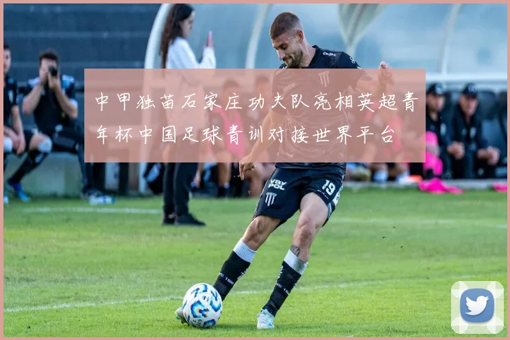 中甲独苗石家庄功夫队亮相英超青年杯中国足球青训对接世界平台