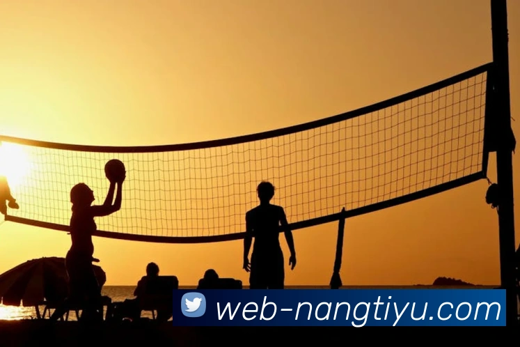 NG体育：全球职业竞技赛事资讯与实时数据交互门户品牌故事