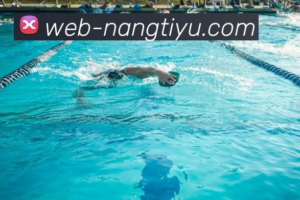 NG体育：全球职业竞技赛事资讯与实时数据交互门户服务体系