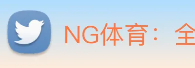NG体育：全球职业竞技赛事资讯与实时数据交互门户 Logo